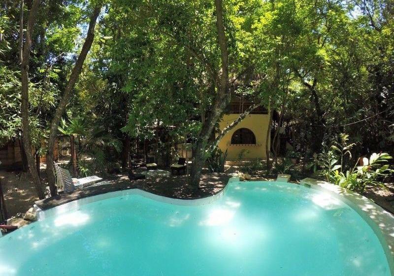 Fotos del hotel Shalala :  5