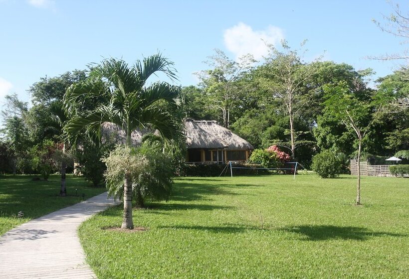בית מלון כפרי Tanager Rainforest Lodge