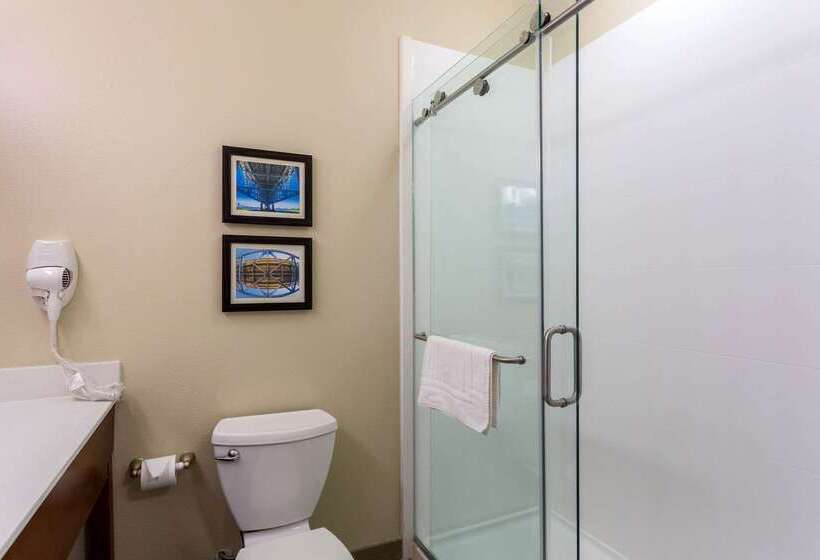 בית מלון כפרי Comfort Inn & Suites Airport