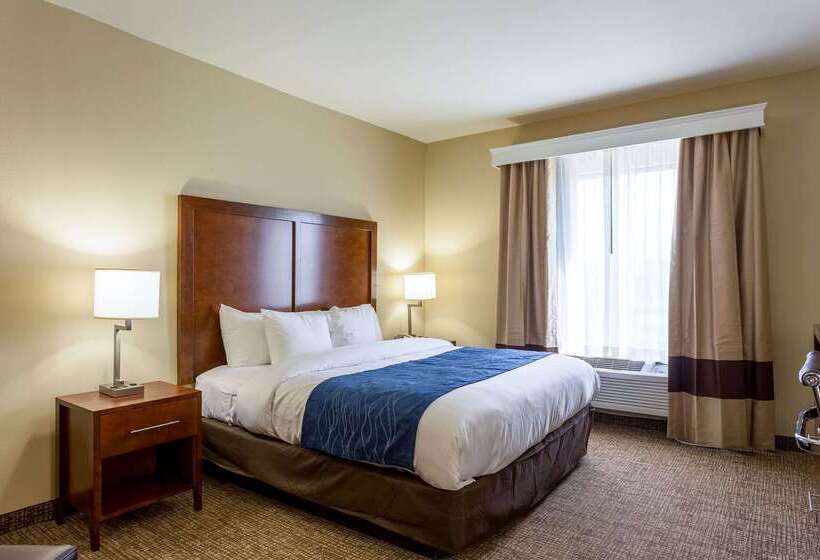 בית מלון כפרי Comfort Inn & Suites Airport