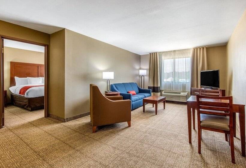 Отель Comfort Inn & Suites