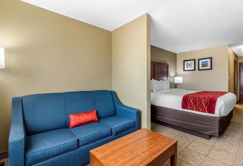 Hotel Comfort Inn & Suites Mccomb