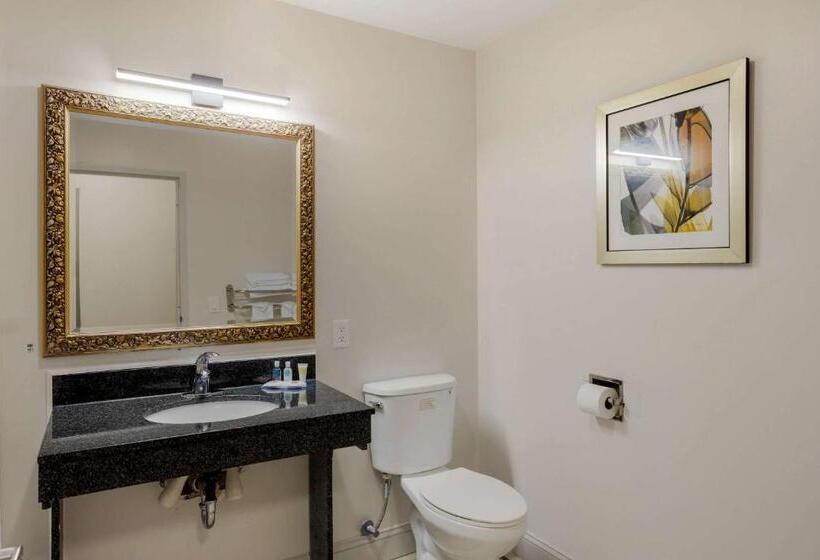 فندق Comfort Inn & Suites Mt. Laurelphiladelphia