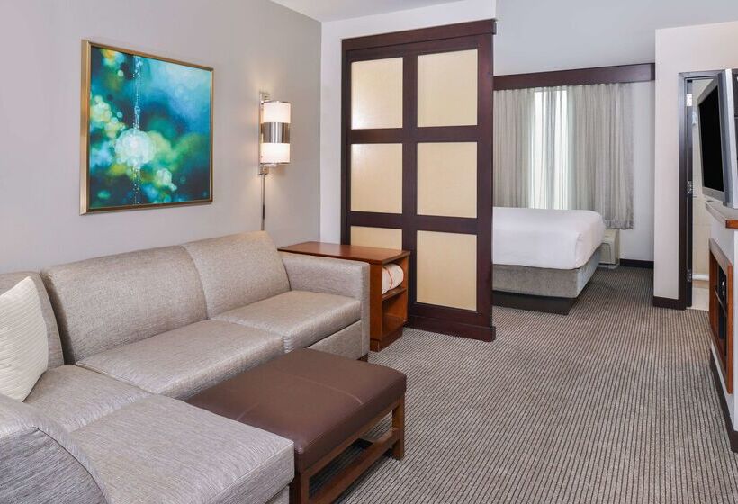 فندق Hyatt Place Chesapeake Greenbrier