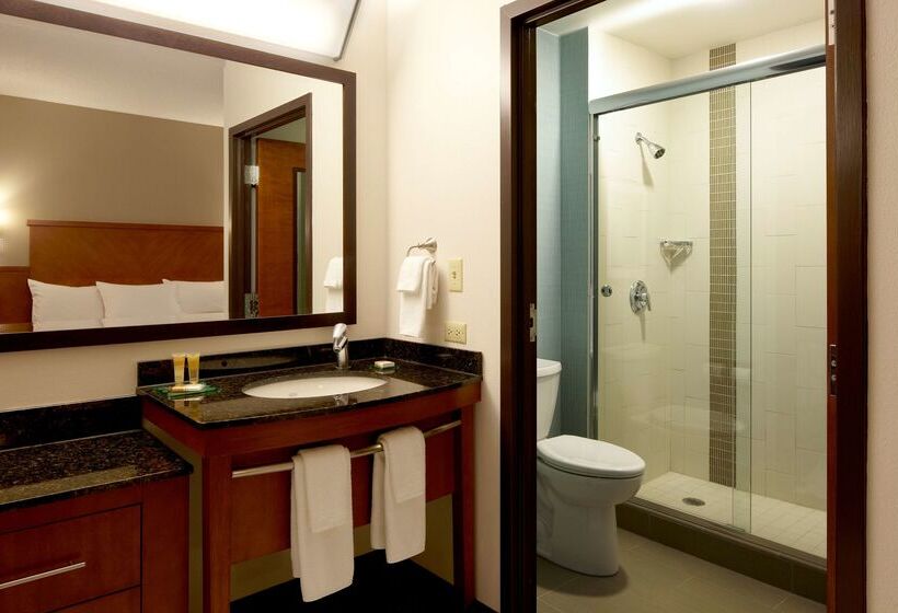 هتل Hyatt Place Chicago   Lombard/oak Brook