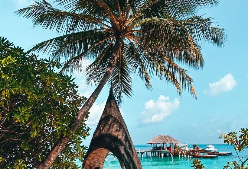 酒店 Lux South Ari Atoll Resort & Villas
