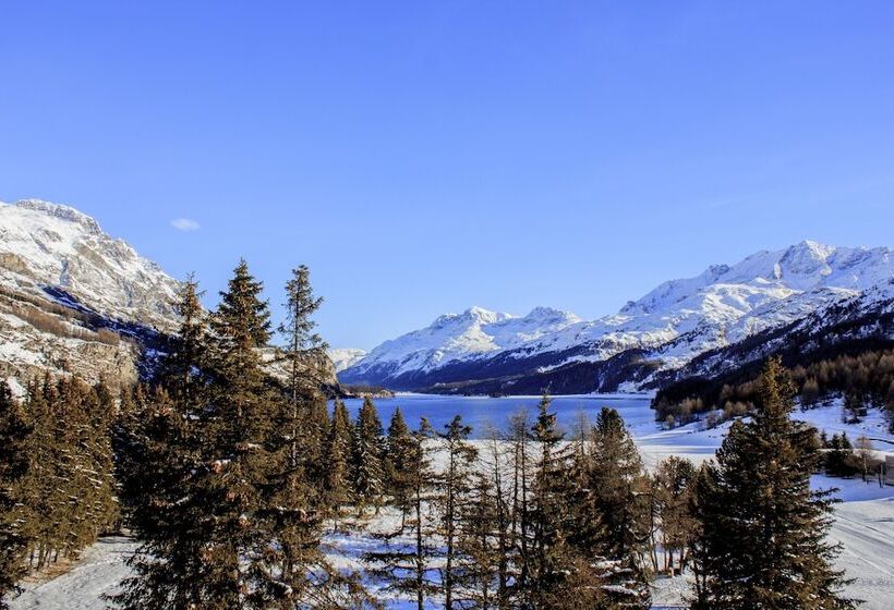 ホテル Maloja Palace