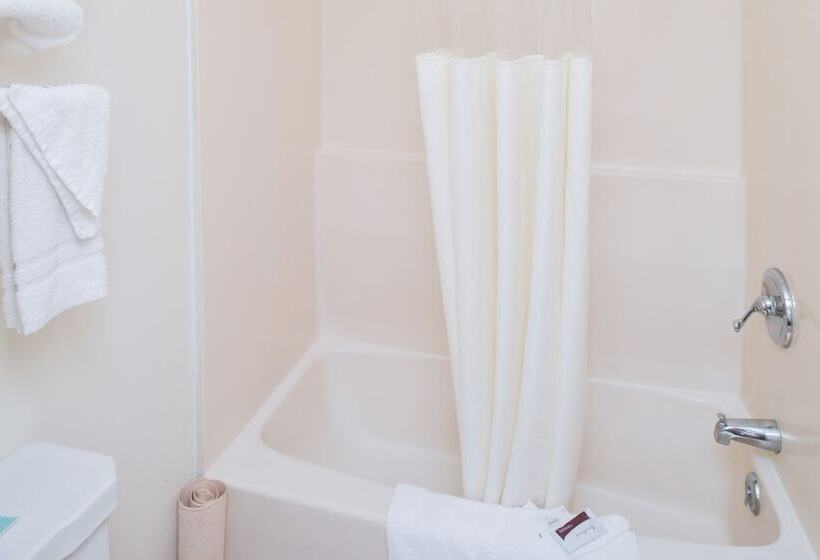 Отель Red Carpet Inn Pulaski