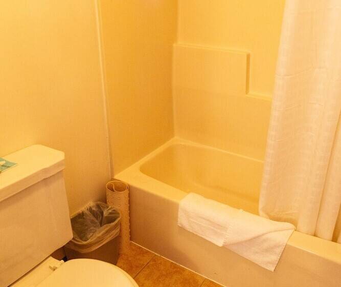 Отель Red Carpet Inn Pulaski