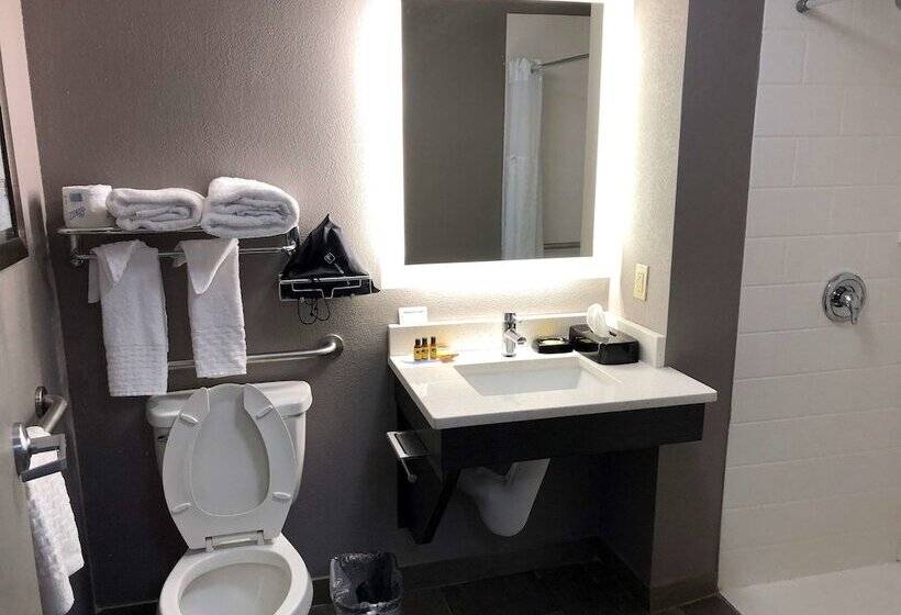 هتل Best Western Plus Spartanburg