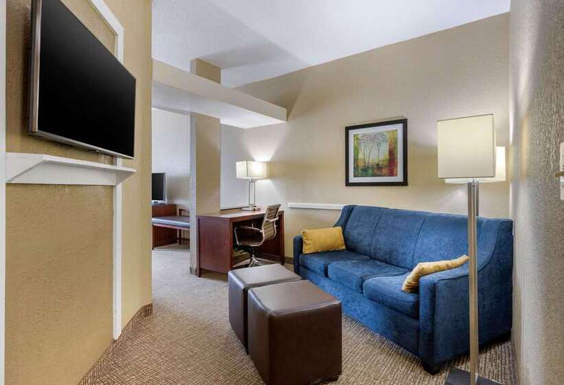 Hotel Comfort Inn And Suites