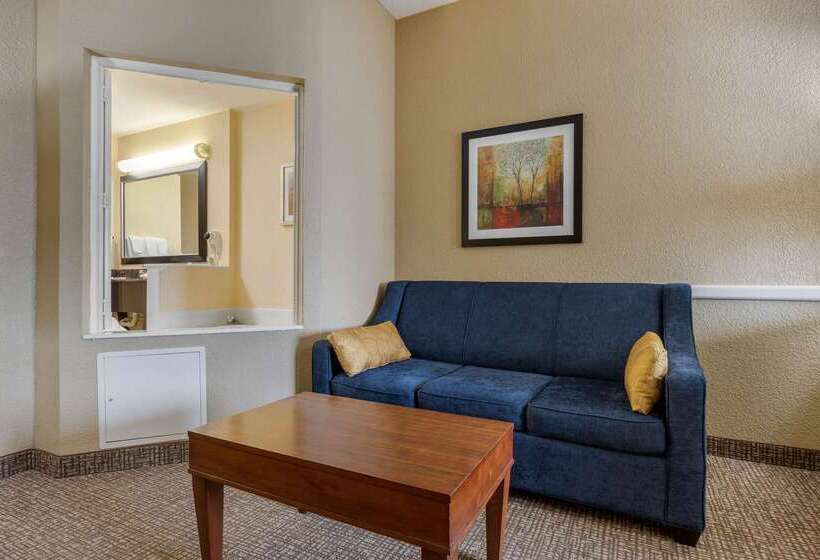 Hotel Comfort Inn And Suites