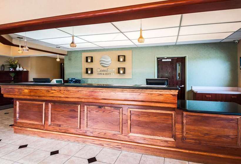 هتل Comfort Inn & Suites