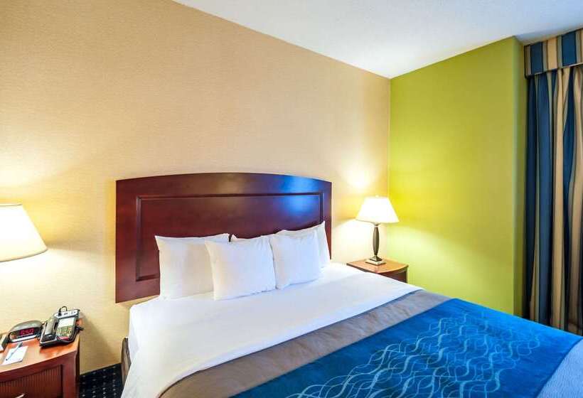هتل Comfort Inn & Suites