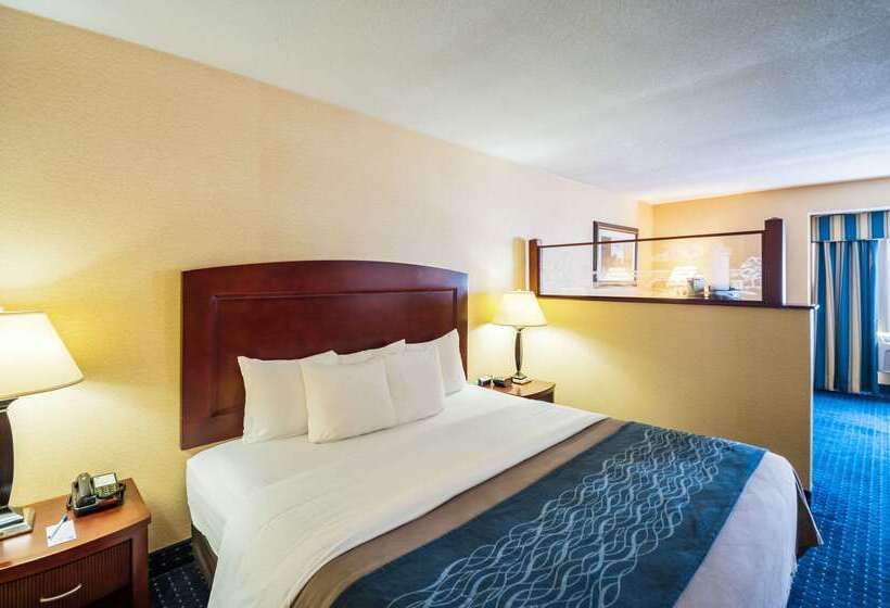 هتل Comfort Inn And Suites North East