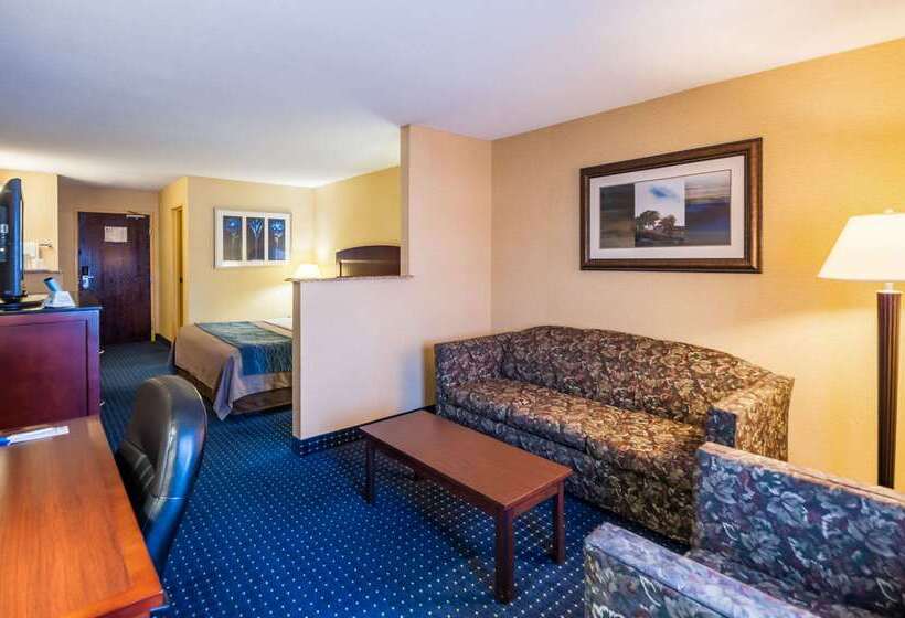 هتل Comfort Inn & Suites