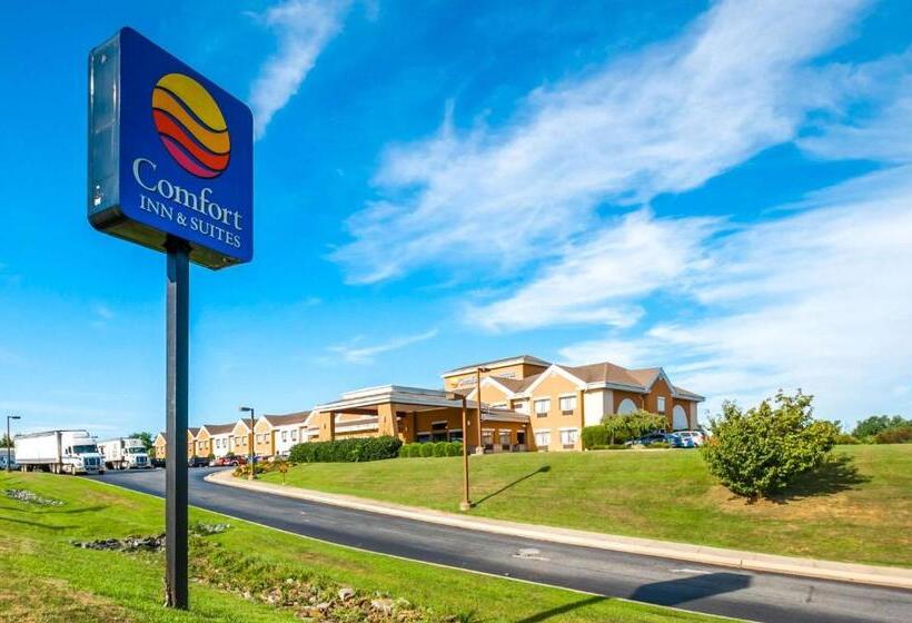 هتل Comfort Inn And Suites North East