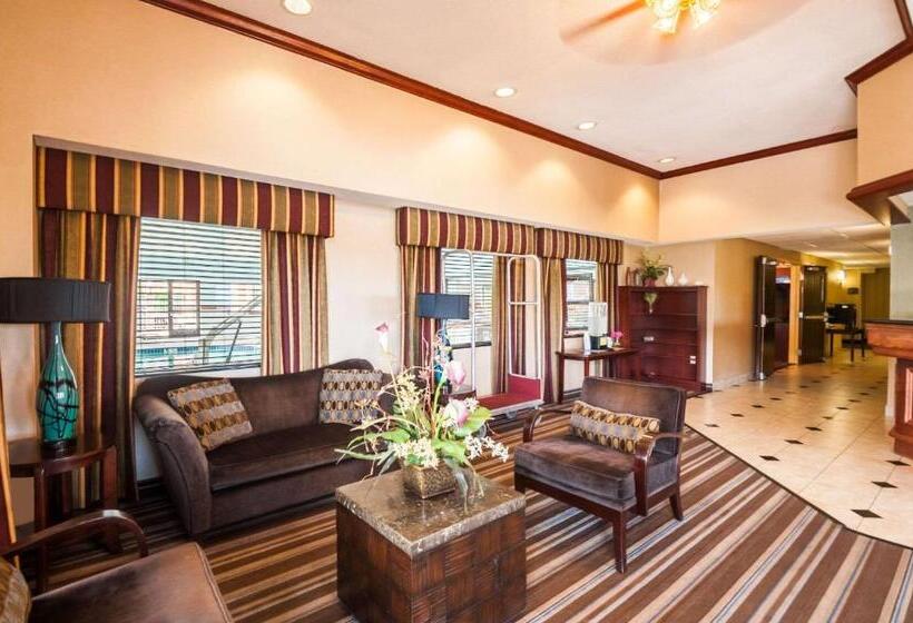 هتل Comfort Inn & Suites