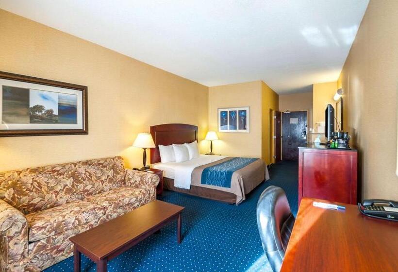 هتل Comfort Inn & Suites