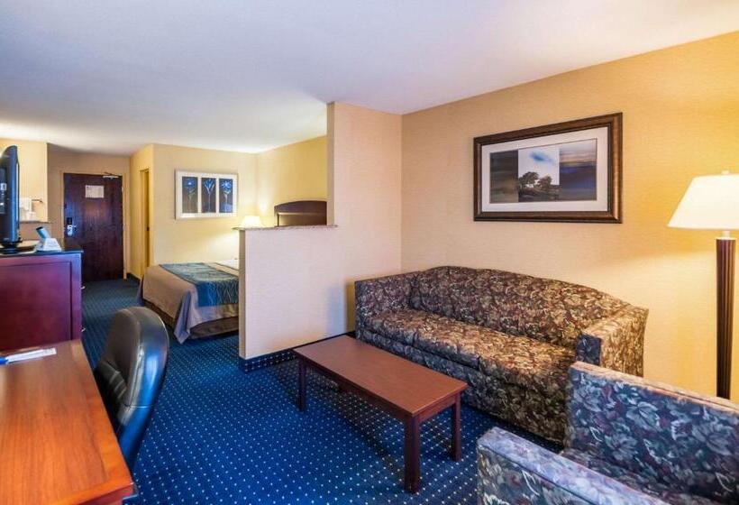 هتل Comfort Inn And Suites North East