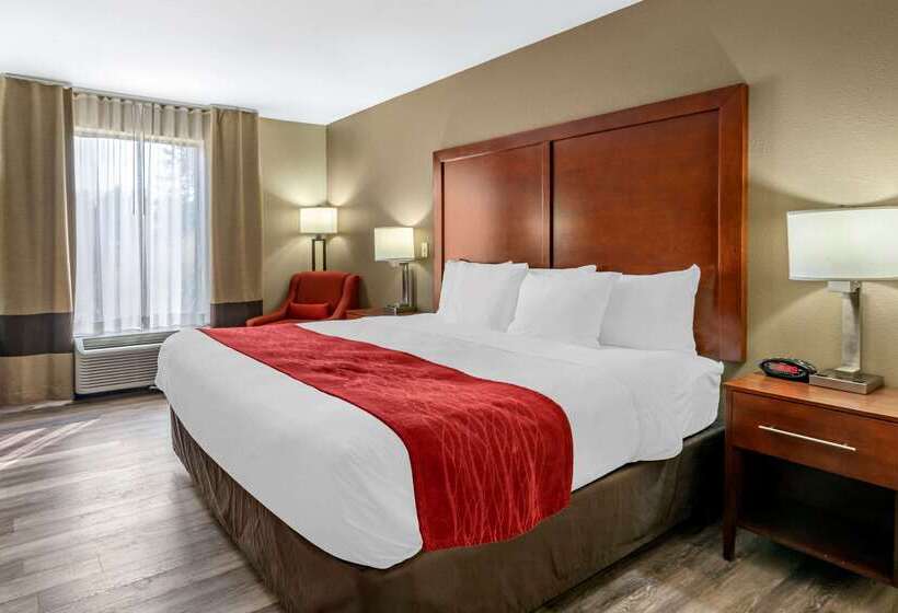 ホテル Comfort Inn Near Six Flags St. Louis
