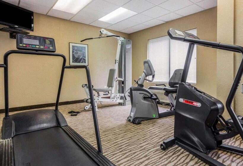 فندق Comfort Inn & Suites