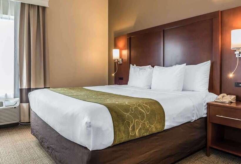 酒店 Comfort Suites Springfield