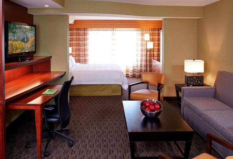 فندق Courtyard By Marriott Ithaca Airport/university