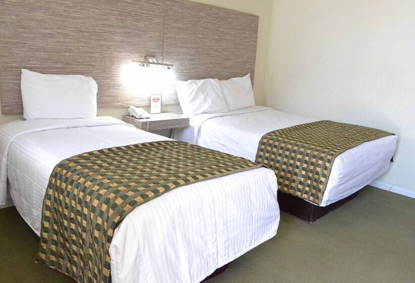 Fotos del hotel Flamingo: 1 Fotos del hotel Flamingo: 1