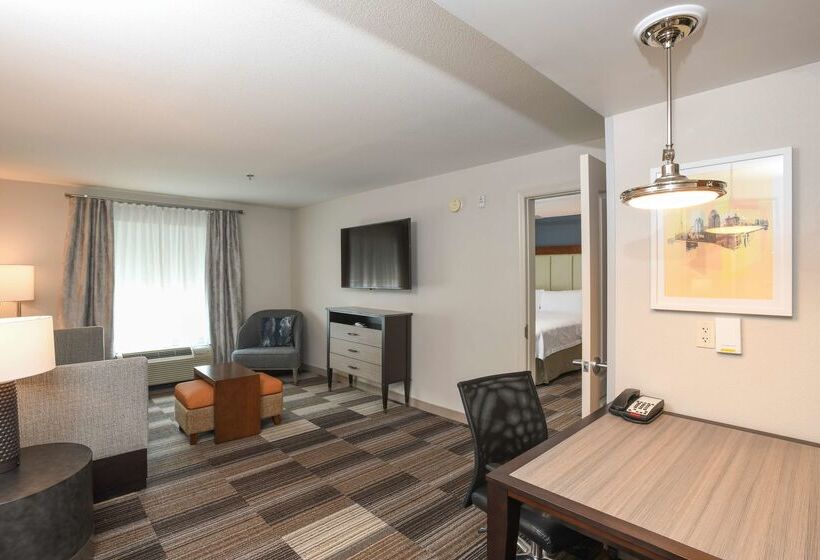 هتل Homewood Suites Cincinnati Airport