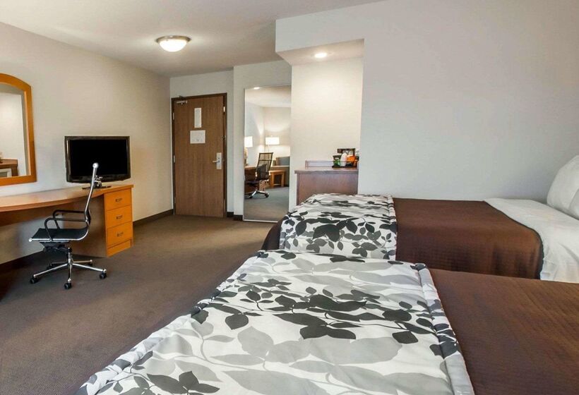 ホテル Sleep Inn & Suites Lake Of The Ozarks