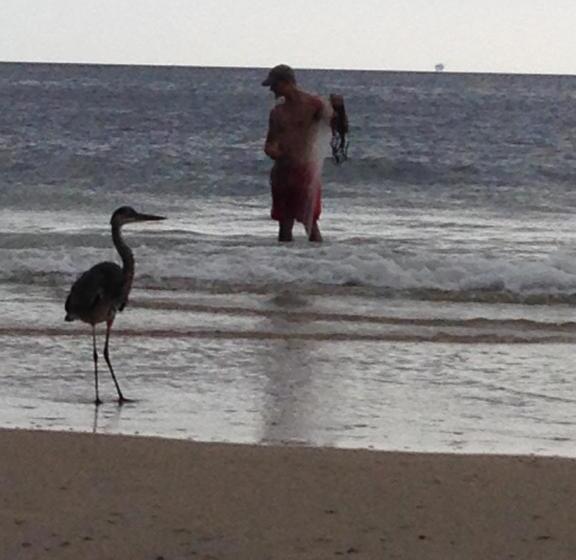 استراحتگاه Gulf Shores Plantation