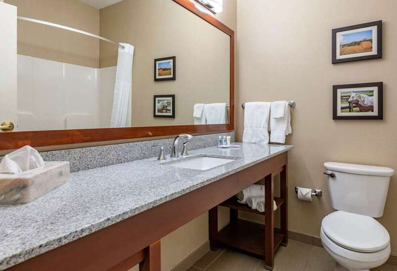 בית מלון כפרי Comfort Inn & Suites Northern Kentucky