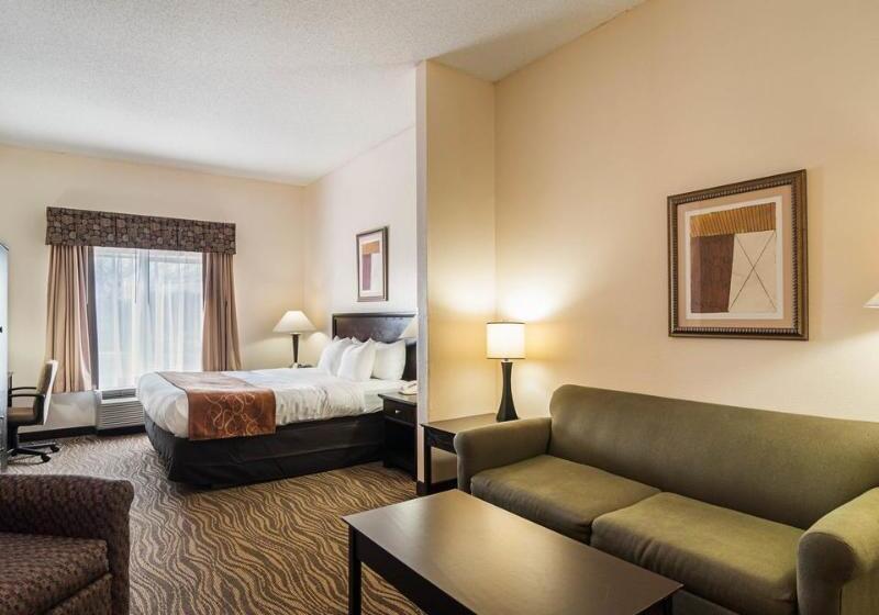 Hôtel Comfort Suites Abingdon I81