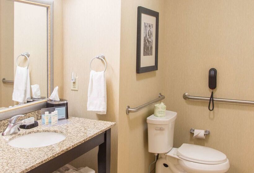 هتل Hampton Inn & Suites Dodge City