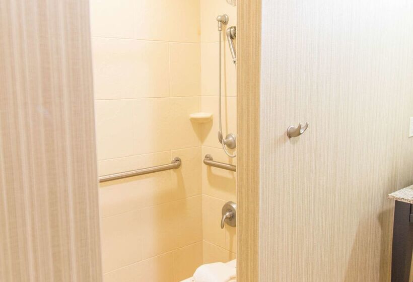 هتل Hampton Inn & Suites Dodge City