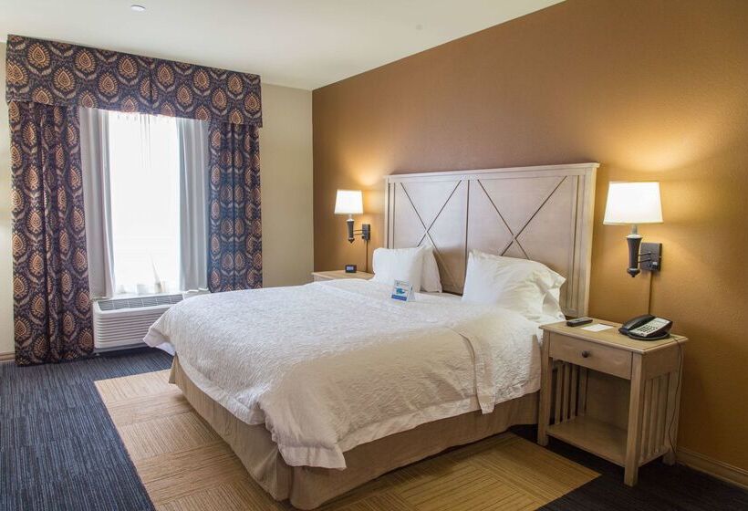 هتل Hampton Inn & Suites Dodge City