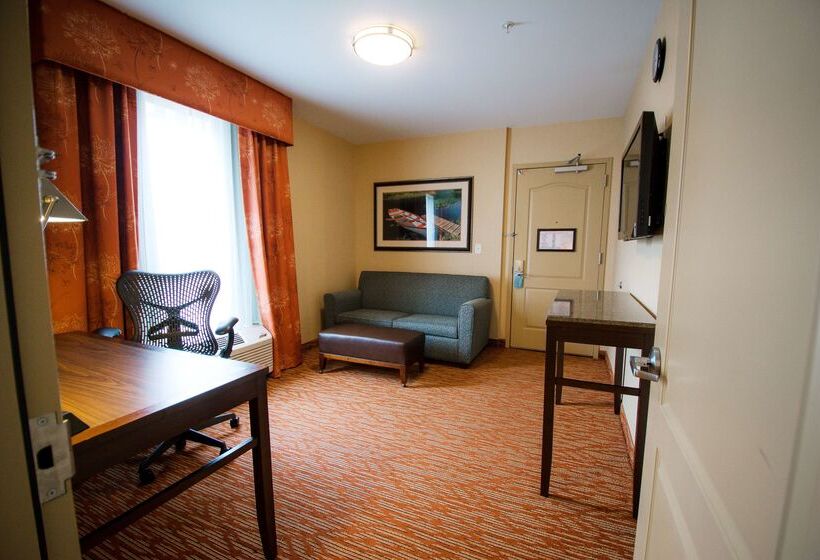 هتل Hilton Garden Inn Watertown/thousand Islands
