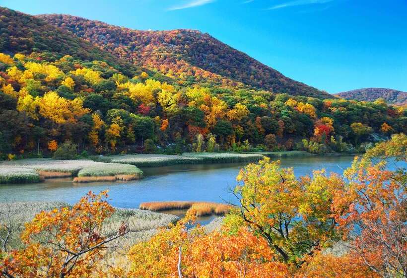 هتل Hyatt House Fishkill Poughkeepsie