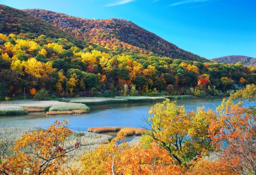 هتل Hyatt House Fishkill Poughkeepsie