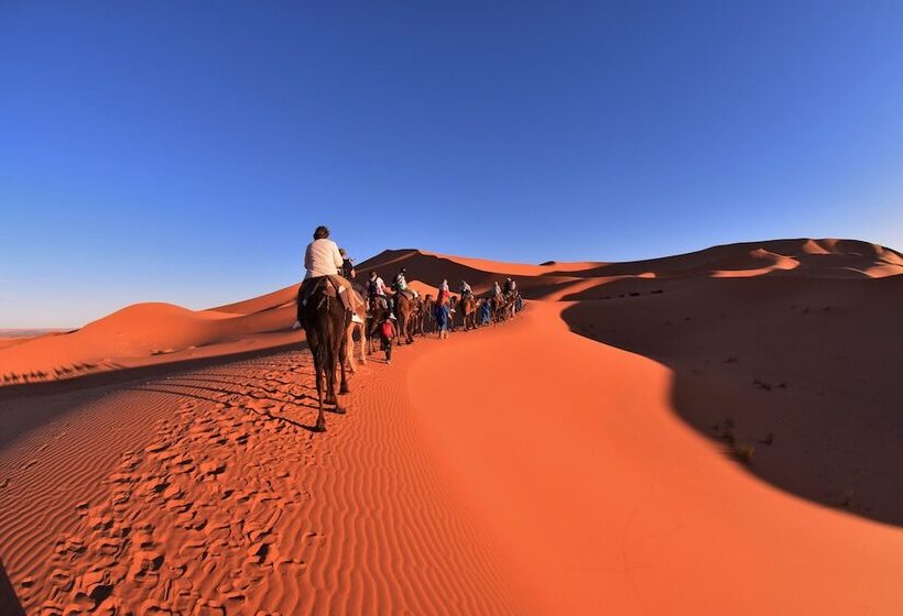 هتل Palmeras Y Dunas