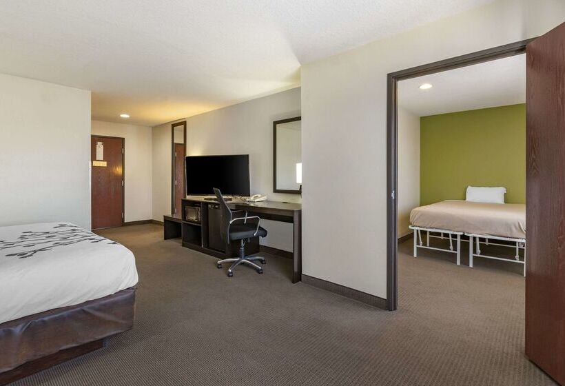 Отель Sleep Inn & Suites Pleasant Hill Des Moines