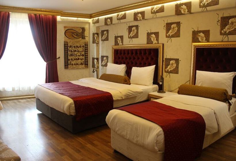 Fotos del hotel Soliman:  8