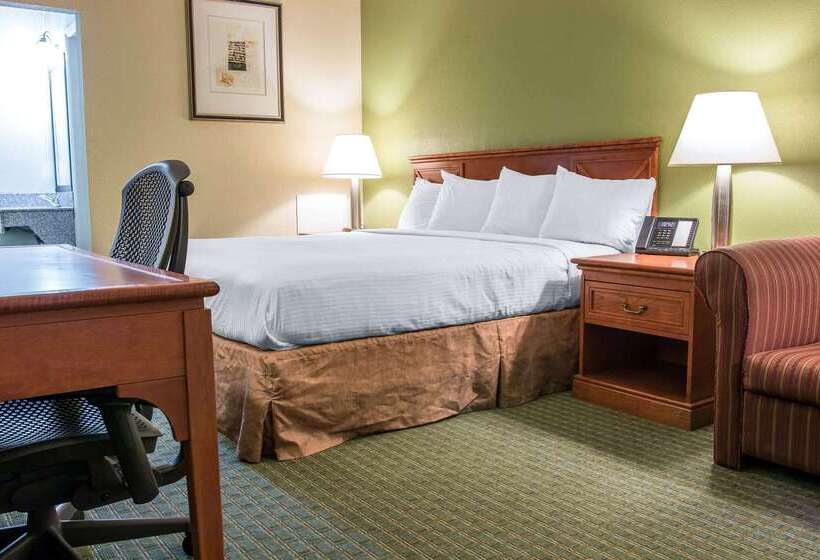 מוטל Rodeway Inn