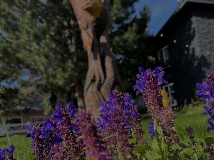 فندق على الطريق Chalet Inn