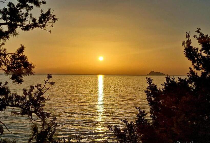 فندق Alonia