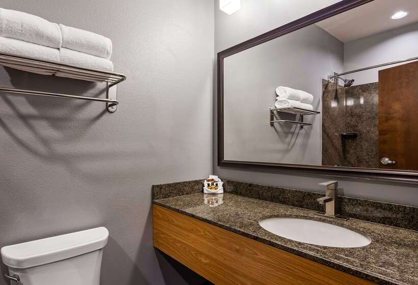 Best Western Plus Williston Hotel & Suites