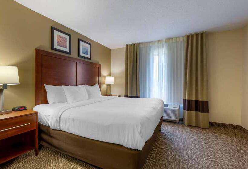 هتل Comfort Inn & Suites Cambridge
