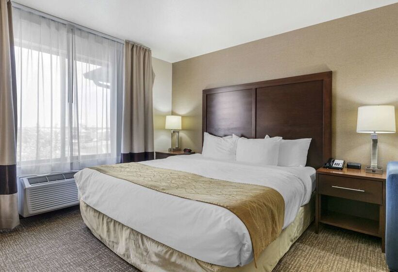 فندق Comfort Inn & Suites Mitchell I 90