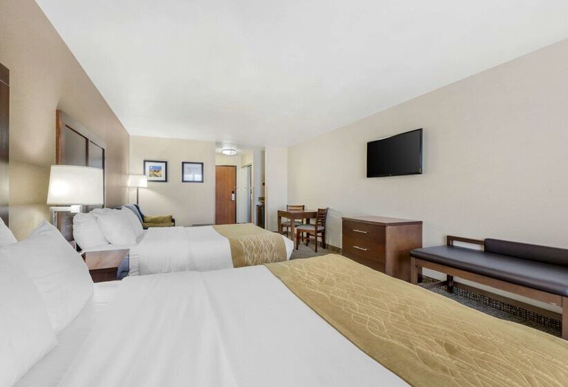 בית מלון כפרי Comfort Inn & Suites Mitchell I 90